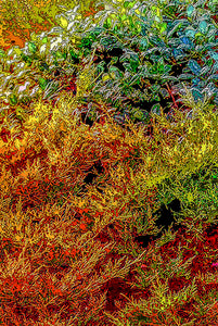 Altered photographic art, 1 of 3 in set, Fall, autumn Seasons art, set of 3, large canvas, Julie Flanagan, ARTrageous Studio