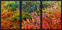 Load image into Gallery viewer, Altered photographic art, Fall, autumn Seasons art, set of 3, large canvas, Julie Flanagan, ARTrageous Studio