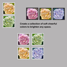 Load image into Gallery viewer, Hydrangea in White, Up Close and Personal