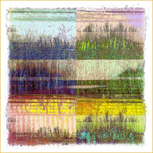Load image into Gallery viewer, Urban Grasses In Color