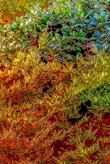 God's Profligacy, Autumn #1