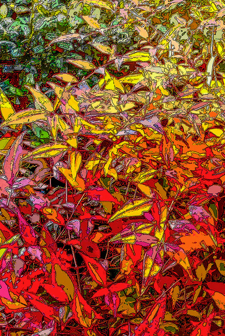 God's Profligacy, Autumn #3
