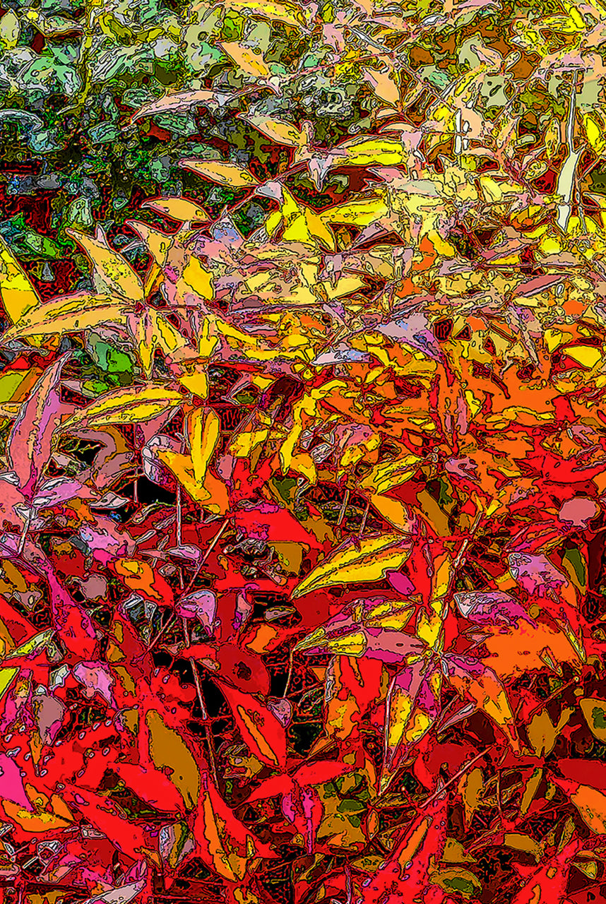 God's Profligacy, Autumn #3