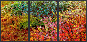 God's Profligacy, Autumn #1