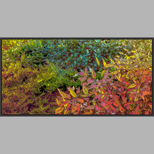 Load image into Gallery viewer, God&#39;s Profligacy, AUTUMN Wall Mural - Nature Impressionistic