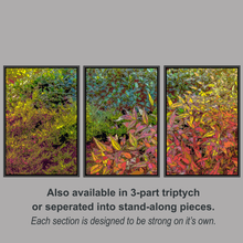 Load image into Gallery viewer, God&#39;s Profligacy, AUTUMN Wall Mural - Nature Impressionistic