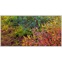 Load image into Gallery viewer, God&#39;s Profligacy, AUTUMN Wall Mural - Nature Impressionistic