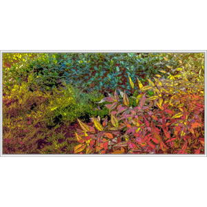 God's Profligacy, AUTUMN Wall Mural - Nature Impressionistic