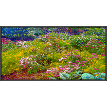 Load image into Gallery viewer, God&#39;s Profligacy, SUMMER Wall Mural - Nature Impressionistic