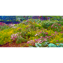 Load image into Gallery viewer, God&#39;s Profligacy, SUMMER Wall Mural - Nature Impressionistic