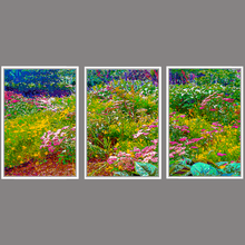 Load image into Gallery viewer, God&#39;s Profligacy, SUMMER Tryptic #1, 2, 3 - Nature Impressionistic