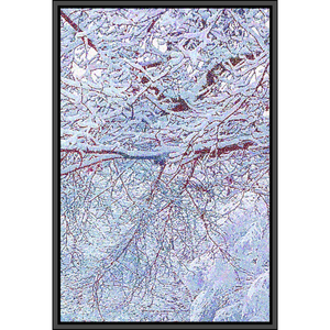 God's Profligacy, WINTER #3