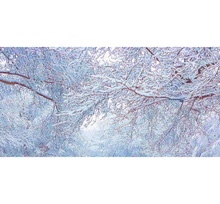 Load image into Gallery viewer, God&#39;s Profligacy, WINTER Wall Mural - Nature Impressionistic