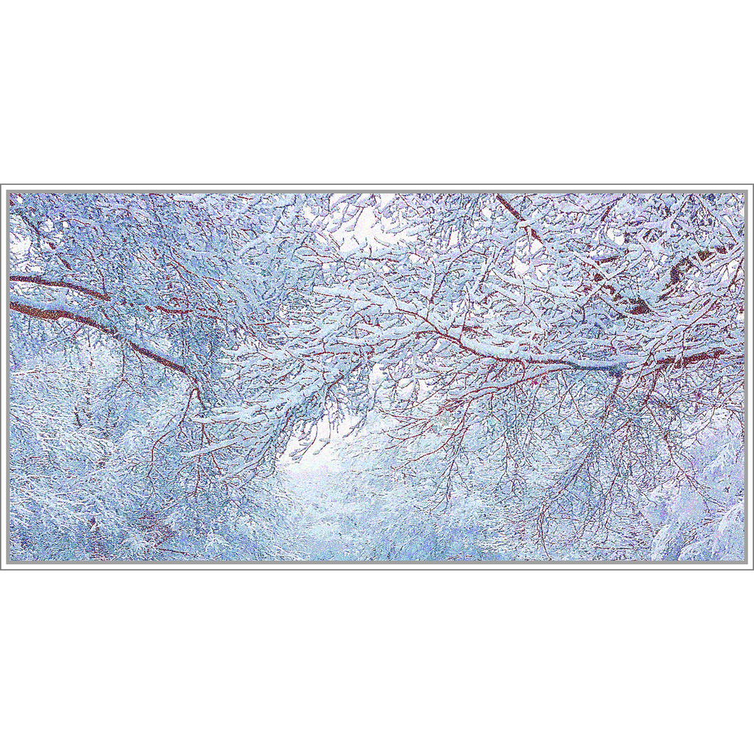 God's Profligacy, WINTER Wall Mural - Nature Impressionistic