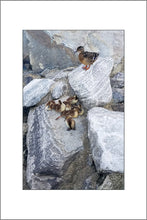 Load image into Gallery viewer, A Mother&#39;s Vigilance