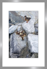 Load image into Gallery viewer, A Mother&#39;s Vigilance