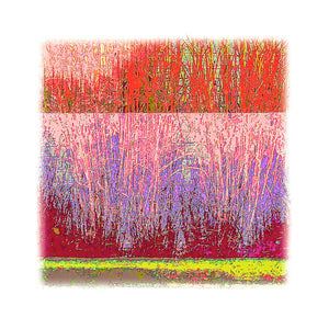 Urban Grasses in Reds