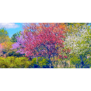 God's Profligacy, SPRING Wall Mural - Nature Impressionistic
