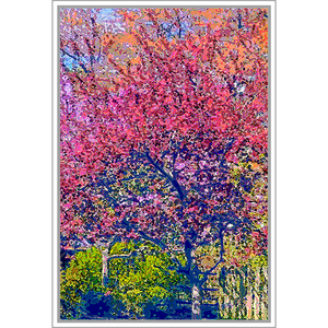 God's Profligacy, SPRING #2