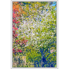 Load image into Gallery viewer, God&#39;s Profligacy, SPRING #3