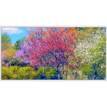 Load image into Gallery viewer, God&#39;s Profligacy, SPRING Wall Mural - Nature Impressionistic