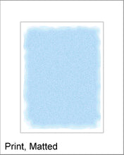 Load image into Gallery viewer, Plaza Wall